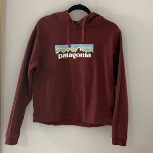 Patagonia Woman’s Hoodie